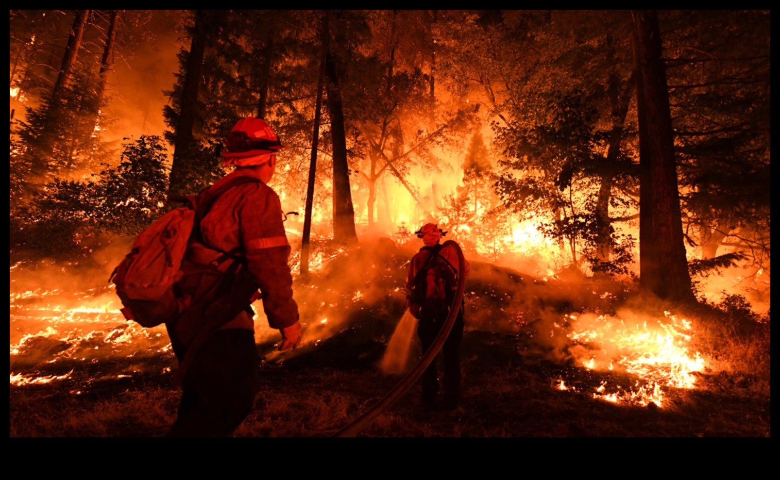 De ce anumite peisaje sunt mai vulnerabile la incendii?