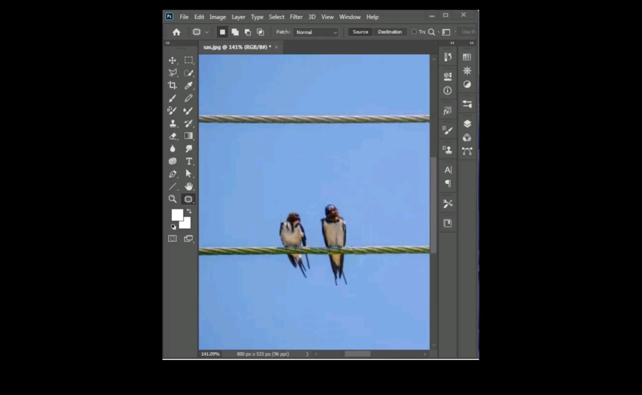 Pixel Perfection: stăpânirea Photoshop Essentials